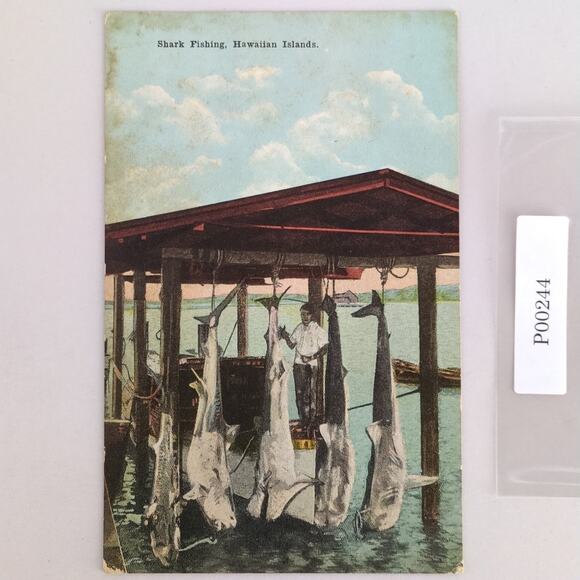 Vintage Shark Fishing Hawaiian Islands Hawaii Linen Postcard 1930s People - Picture 1 of 2